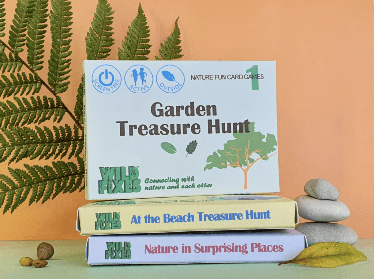 A collection of nature-inspired games stacked on a nature themed table