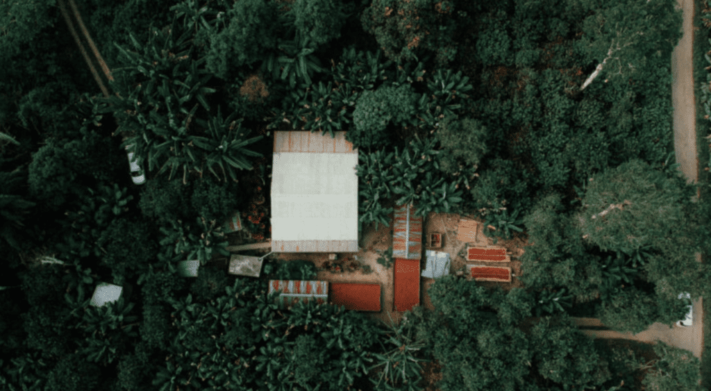birds eye view of smallholder farm in middle of forest.
