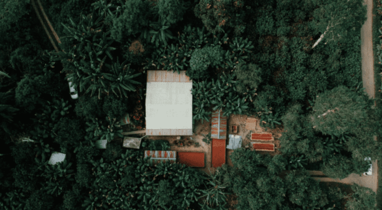 birds eye view of smallholder farm in middle of forest.