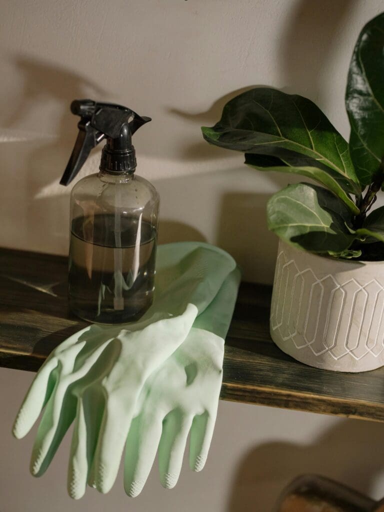 A shelf with a potted plant, green rubber gloves, and a spray bottle.