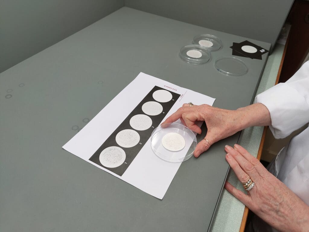 A page with samples showing the five-point scale, with a new sample being assessed against it.