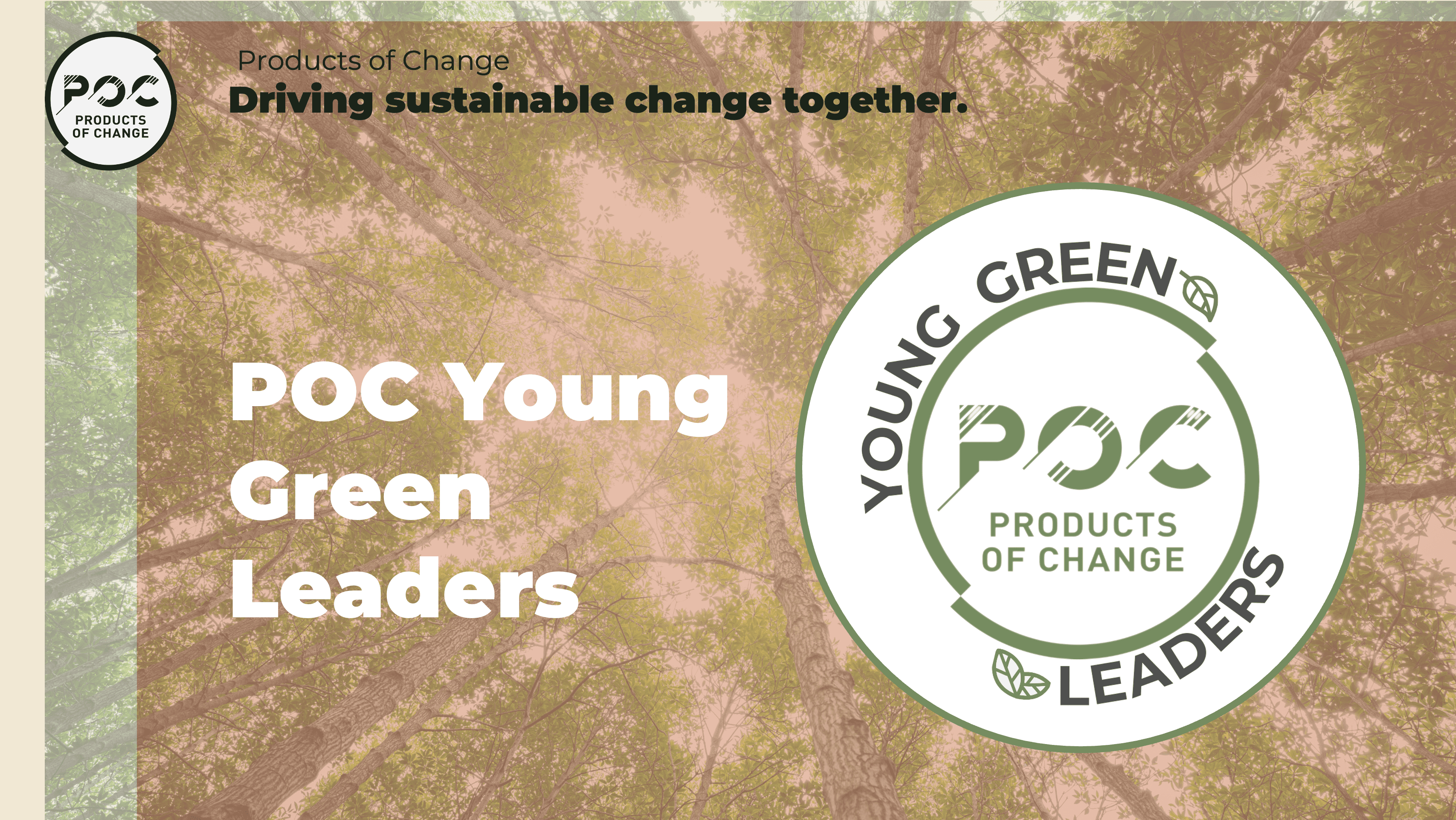 Young Green Leaders introductory meeting presentation screenshot