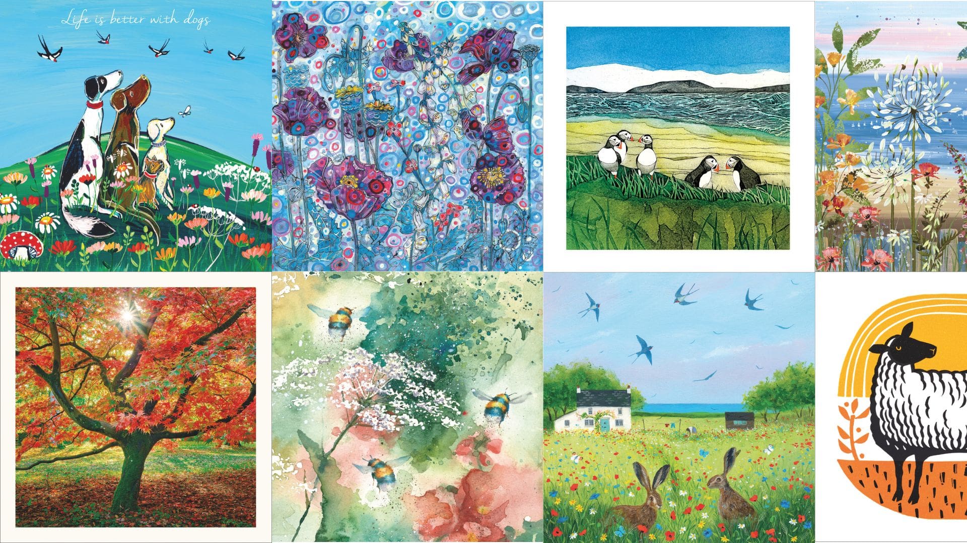 Eco-friendly card company designs