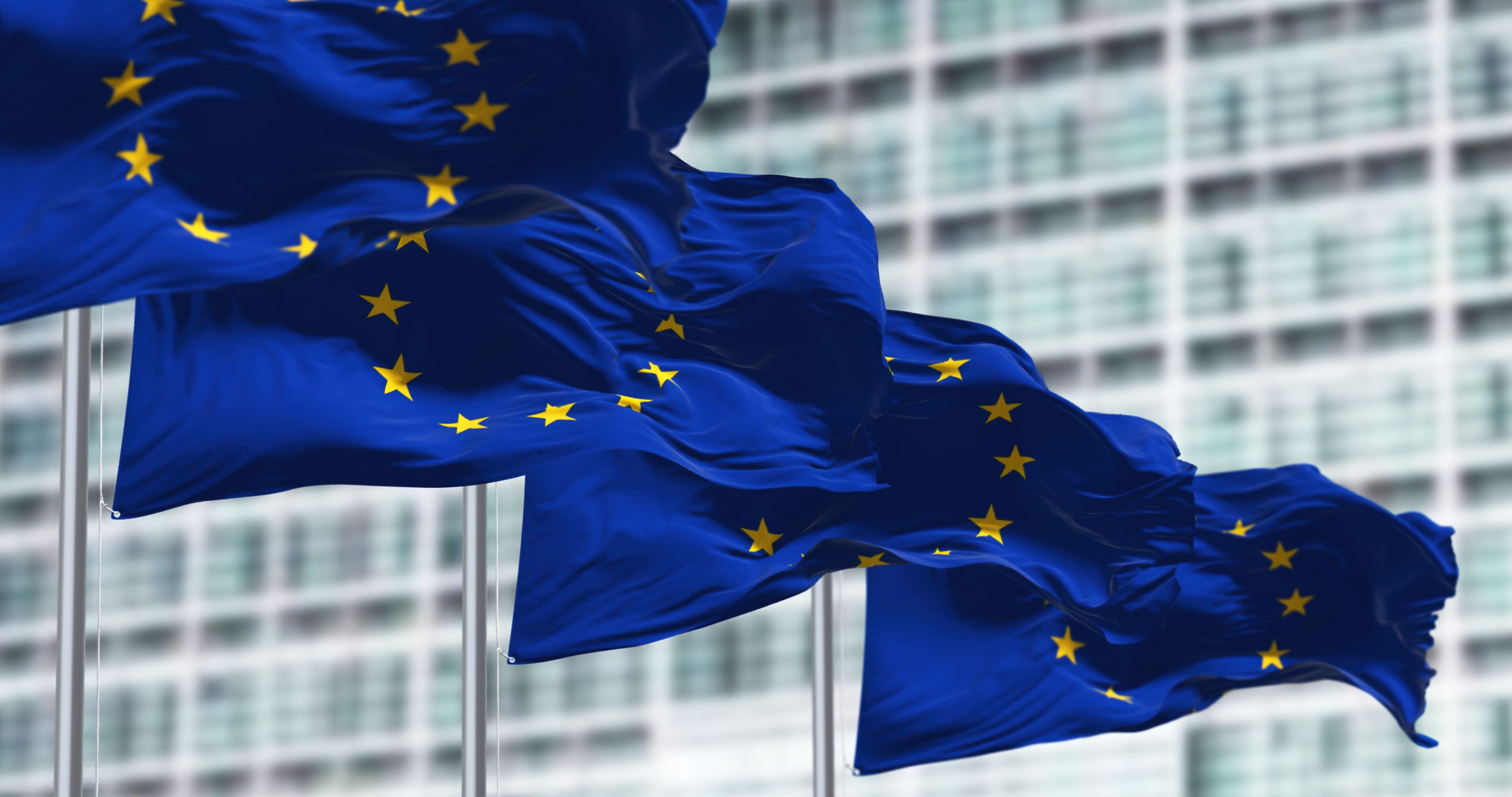 EU flags flying in a row