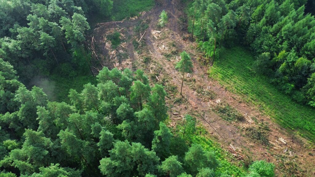 Green,Forest,Meets,Barren,Land,In,Dramatic,Aerial,View,Of