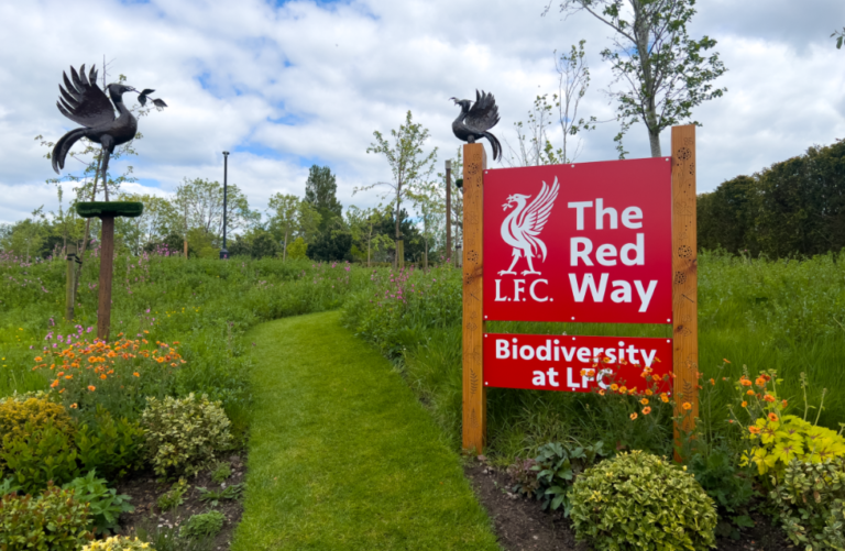 The Red Way biodiversity scheme at LFC