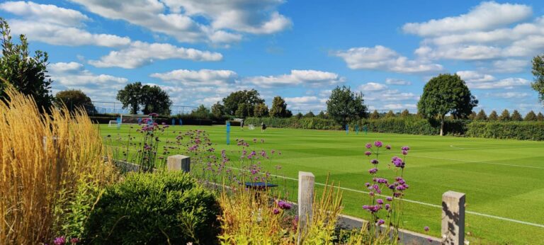 Pollinator monitors situated around Spurs' training grounds.